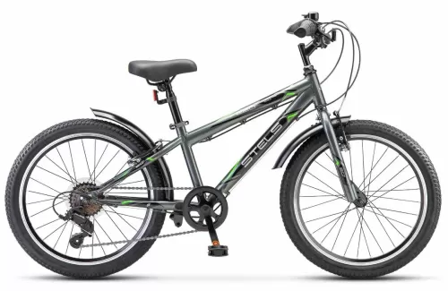 Stels Pilot 220 V 20" Z010
