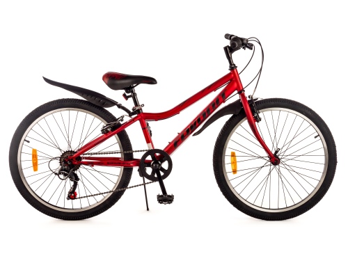 FAVORIT SIRIUS-24VS, SIR24V12RD